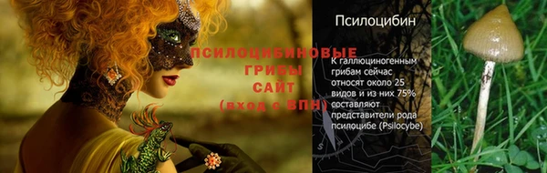 альфа пвп Вяземский