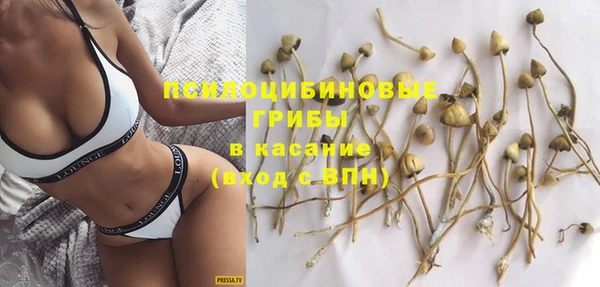 альфа пвп Вяземский