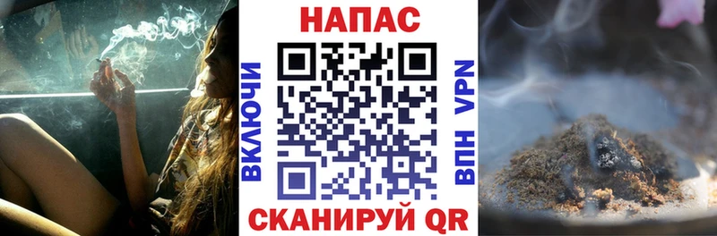 где купить наркотик  MEGA ТОР  Шишки марихуана SATIVA & INDICA  Хадыженск 